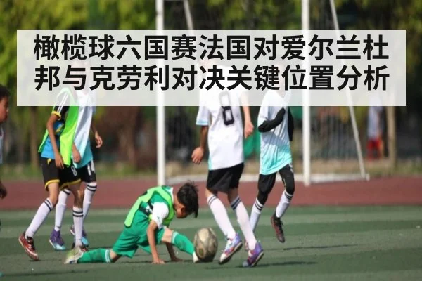 橄榄球六国赛法国对爱尔兰杜邦与克劳利对决关键位置分析